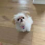 Lisa Myroon's photo