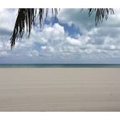 Melanie Tykolis's photo