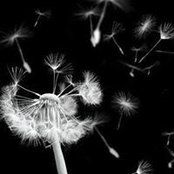 Fran Gold's photo