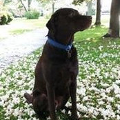 Jennifer Belz's photo