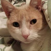 Mary Corn MacDonald's photo