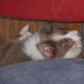Donny Dillard's photo