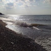 Lisa Payne's photo