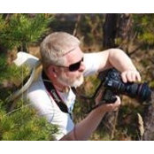 Сергей Бобылевs billede