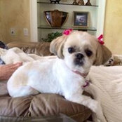 Tommy Tomlin's photo