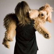 Liz Gebhardt's photo
