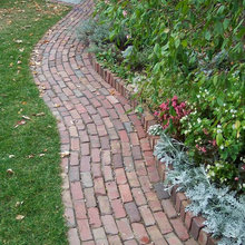 Yard Renovation
