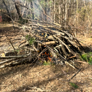 Landscaping , yard clean up trash and debris