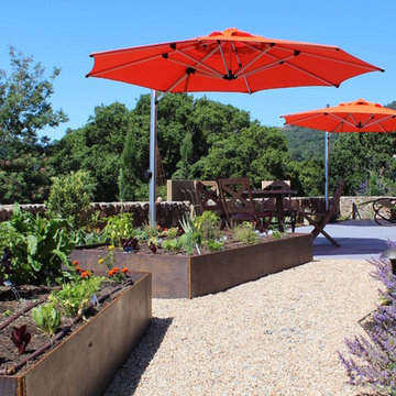 Fairfax modern agrarian garden