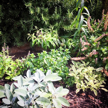 Edible Landscapes