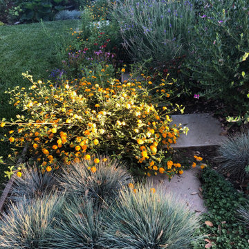 Backyard Landscape Design Before & After