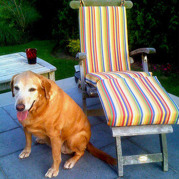 Custom Cushions for Furry Friends!