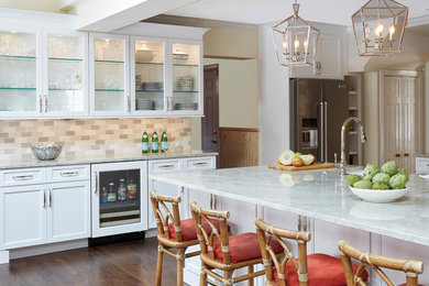 Example of a transitional kitchen design in Chicago
