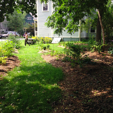 Under black walnut trees