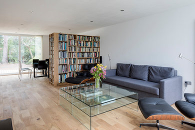 Contemporary living room in London.
