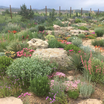 Dryland Rock Garden, northern Colorado