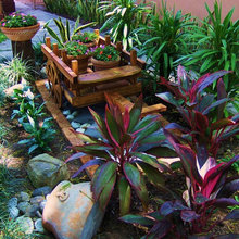 pedacito de patio enfrente casa villa de las rosas