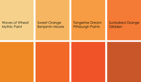 Cooking With Color: When to Use Orange in the Kitchen