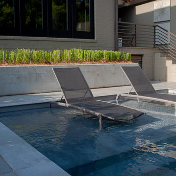 Modern Oasis