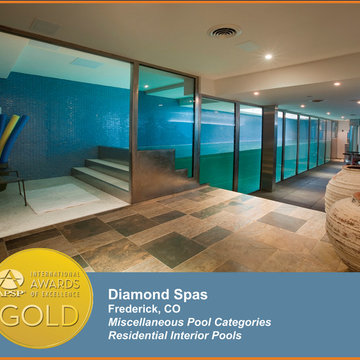 2014 APSP International Awards of Excellence
