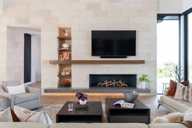 Living room - modern living room idea in Austin
