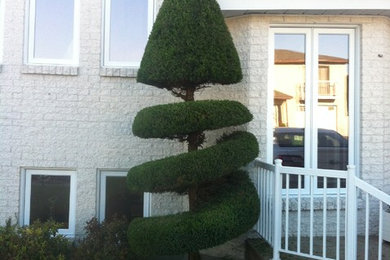 Hedge trimming and decorative trimmings.