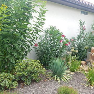 Full Landscaping and Hardscape in Shavano Park, San Antonio