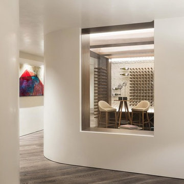 Color Atelier Lime Plaster