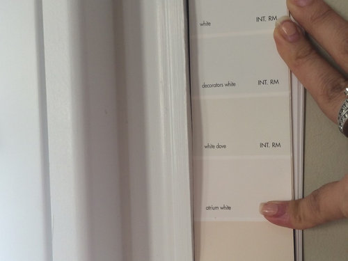 Plantation Shutters Vs Trim Color Help Needed Best Home Help