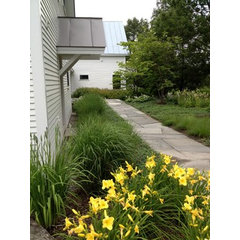 Morrison Landscape and Construction