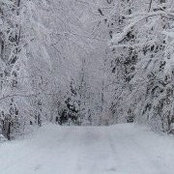 Barbara Demotts's photo