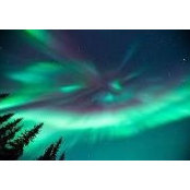 Melissa Green's photo