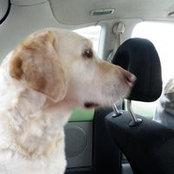 Erin Douheret's photo