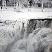 Sharon McDowell's photo