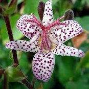 Andrea Garrabrant's photo
