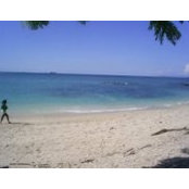 Josefina Morales's photo