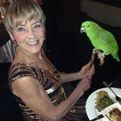 Sandy Hill's photo