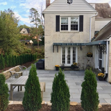 Backyard Grandeur
