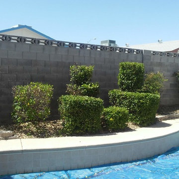 FRONT & BACK YARD MAINTENANCE