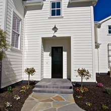 Exterior Paint