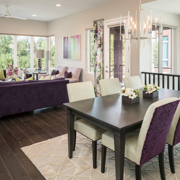 Colorful Contemporary