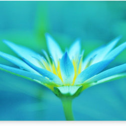 Canvas prints - "Bluedaze" - Photographs