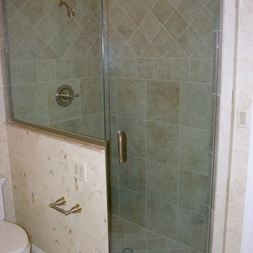 Pivot Door and Fixed Inline Panel
