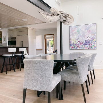 Fellowes-Gatto Residence