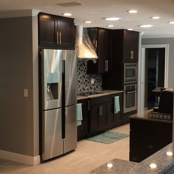 Orlando Contemporary Kitchen