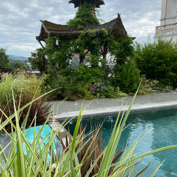 Une piscine béton