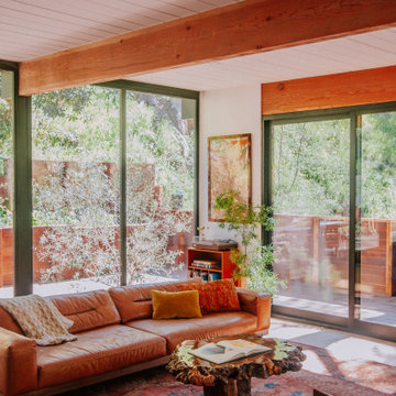 Mandeville Canyon Mid-Century Treehouse