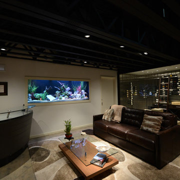 Basement Man Cave Freshwater Aquarium