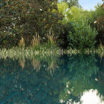 Water and Greenery | Zen