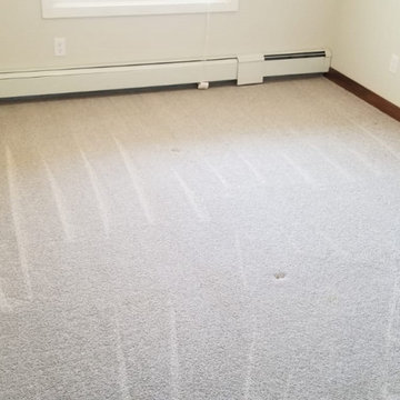 FON Professional Carpet Cleaning and Upholstery Services